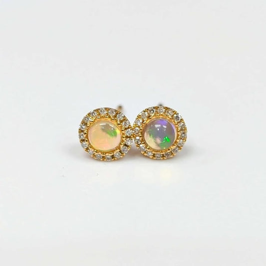 Diamond Framed Round Opal Earrings in 14k Gold